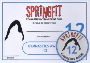 Gym 12 badge