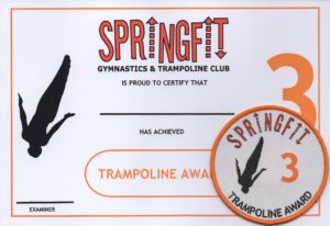 Tramp 3 award